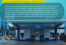 EV vs ICE di Indonesia: Begini Perbedaan Mobil Listrik dan Mobil Bensin yang Wajib Anda Ketahui