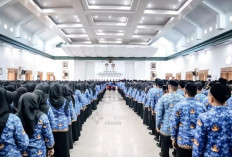 Wajib Tahu! Satu Kesalahan Ini Bisa Gagalkan Pengangkatan PPPK Tenaga Honorer