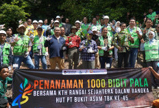 45 Tahun Bakti PTBA Bersinergi Membangun Bangsa