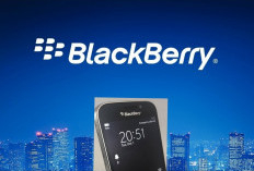 Zinwa Q25, BlackBerry Klasik Kembali dengan Android Modern, Masa Depan Smartphone atau Tren Sesaat?