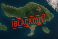 Bali Blackout Listrik dan Internet Tumbang, Genset Sold Out, Ternyata Ini Penyebabnya