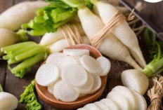 Wajib Masuk Menu Harian! Ini 10 Bukti Lobak Bisa Bikin Badan Lebih Fit