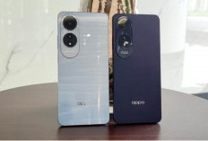 HP OPPO A60 Usung RAM Besar dan Bodi Tahan Banting Cocok Pemakaian Harian 