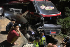 Bus MPM Tabrak Truk Trailer Di Desa Pulau Harapan, Banyuasin: Sopir Terjepit 
