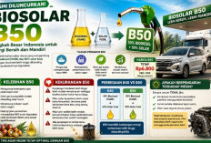 Pemerintah Luncurkan Biosolar B50, Apa Bedanya dengan Solar Biasa? Ini Penjelasan Lengkapnya