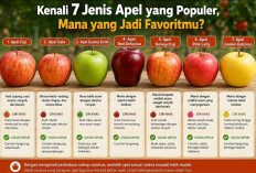 Sama-sama Buah Apel, Ternyata Beda Rasa dan Tekstur! Kenali 7 Jenis Apel yang Populer, Mana Favoritmu?