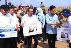 Dukung Program Asta Cita Presiden Prabowo Subianto, Gibran Panen Jagung di Banyuasin