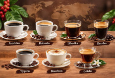 Mereview Ulang Jenis Kopi yang Paling Populer di Dunia, Lalu Mana Favoritmu Tahun Ini?
