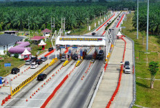 Catatan Kinerja Positif Hutama Karya, Kelola 14 Ruas Jalan Tol di Indonesia
