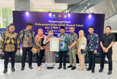 Peringatan Hari Kesehatan Nasional, Palembang Raih Penghargaan Swasti Saba Padapa Award 2025