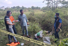 Mayat Laki-Laki Tanpa Baju Ditemukan di Bawah Jembatan Jalan Tol Kayuagung OKI 