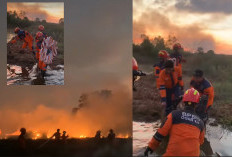Sukses Atasi 2 Titik Kebakaran Hutan di Ogan Ilir, BPBD Ungkap Kendala Terbesar 