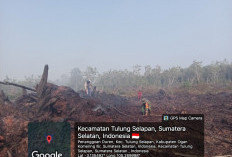 Lahan di Desa Penanggoan Duren Tulung Selapan Terbakar,  Koramil Tingkatkan Kesiapsiagaan