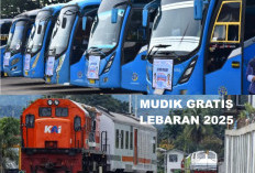 Tiket Mudik Sumatera-Jawa 2025 Makin Langka! Begini Cara Dapat Harga Termurah Sebelum Kehabisan!