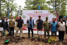 Dua Dekade Bebas Karhutla, Restorasi Lahan Gambut di Sepucuk OKI Jadi Rujukan Nasional
