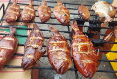 Ini Rahasia Ikan Asap Rumahan, Aroma Smoky dan Warna Emas yang Menggoda Selera