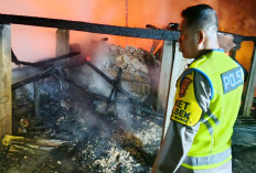 Kebakaran Hebat di OKU Timur, Empat Orang Anak Ditemukan Tewas Terperangkap dalam Rumah