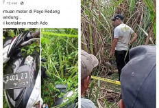 BREAKING NEWS! Seorang Wanita Hamil Ditemukan Tergeletak Tak Bernyawa di Kebun Tebu Desa Seribandung Ogan Ilir