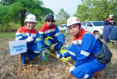 Pertamina EP Zona 4 Tanam Pohon di Musi Rawas, Demi Jaga Jalur Pulang Gajah Sumatera
