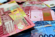 PKH dan BPNT Januari 2026 Cair: Begini Cara Cek Status Bantuan