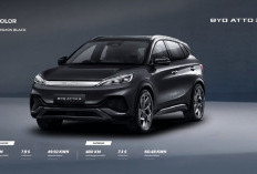 5 Rekomendasi Mobil Listrik Terbaru 2026: Ramah Lingkungan dan Hemat Biaya Perawatan