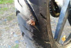  Keunggulan Ban Tubeless untuk Touring hingga Mobilitas Harian Dibandingkan Ban Biasa