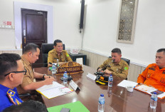 Giliran Muba, Lindungi Anak dari Paparan Asap Karhutla, Bupati Toha Instruksikan PJJ  