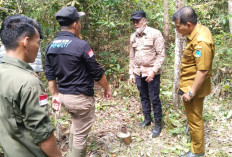 Pemkab Ogan Ilir Tinjau Sumur Minyak di Desa Tebedak 1, Disebut Tak Pernah Dikelola Sejak Zaman Belanda