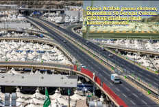 Puncak Haji 2025: Begini Agenda Wukuf di Arafah, Khutbah Disiarkan Live