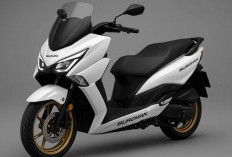 Suzuki Burgman 150, Skutik Premium Bergaya Modern dengan Sentuhan Haojue UHR150