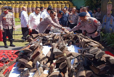 614 Pucuk Senpi Hasil Ungkap Polda Sumsel Dimusnahkan, Kapolda Sebut Masih banyak di daerah Perbatasan 