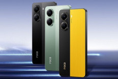 Perbandingan POCO X7 dan POCO X7 Pro, Smartphone Terbaru POCO dengan Fitur AI Canggih dan Tahan Banting