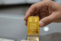 Harga Emas Antam, UBS, dan Galeri24 Stabil di Pegadaian per 11 Mei 2026