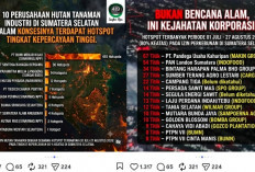 Beredar Daftar 10 Perusahaan HTI Diduga Penyumbang Hotspot Terbanyak di Provinsi Sumsel
