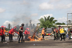 Kapolda Sumsel Turun Langsung di OKI, Pimpin Apel Besar dan Tekankan Siaga Karhutlah