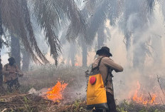 Karhutla Muncul di OKI, Polda Sumsel Turunkan Personel Operasi Aman Nusa II