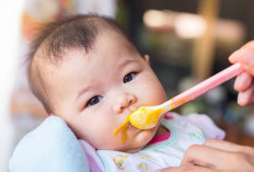 Bayi Mulai MPASI? Kenali Makanan yang Tepat untuk Menu Pertamanya