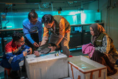 Pertamina Patra Niaga Perkuat Pondasi Ekonomi Warga Sekitar Sungai Musi Lewat Program Belida Musi Lestari