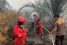 17 Hektare Lahan Terbakar di Pemulutan Ilir Berhasil Dipadamkan Personel Polri dan Tim Gabungan