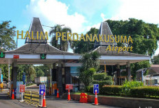 Penutupan Bandara Halim Diperpanjang Hingga Pukul 18.00, Imbas Erupsi Gunung Anak Krakatau