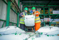 Pusri Pastikan Stok Pupuk Pusri Awal Tahun Aman Sesuai Ketentuan