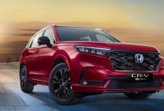 Desain Premium dan Fitur Pintar, Honda CR-V 2026 Naik Kelas: Pilihan Mesin Turbo dan Hybrid
