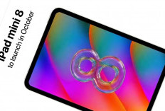 Heboh Bocoran iPad Mini 8 Lebih Bertenaga, Tablet Pertama Apple Tahan Air & Potensi Dukungan ProMotion 120 Hz 