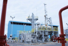 PEP Zona 4 Dorong Peningkatan Produksi Minyak Lewat Workover 51 Sumur Eksisting