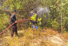 Api Lahap 1 Hektare Lahan Berhasil Dijinakkan