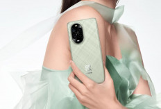 Review Lengkap Huawei Nova 13 Pro, Sematkan Layar LTPO OLED hingga Fast-Charging