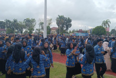 Pemkab OKI Ikuti Ketentuan Ditetapkan Pemerintah Terkait PPPK Guru Ditarik Jadi PNS Pusat