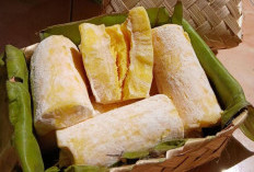 5 Resep Makanan Olahan Tape Singkong, Enak dan Menyehatkan