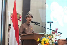 81 Tahun OKI, Pemerataan Listrik Jangkau Wilayah Terpencil dan Pesisir