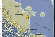 Warga Desa Toman OKI Rasakan Gempa Hitungan Detik